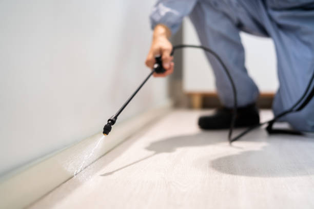 Licensed Mosquito Control service in North Richland Hills, TX - Show Me Pest Control