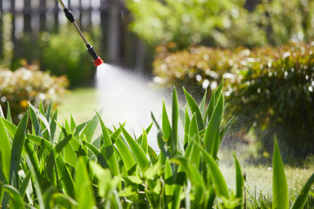 24/7 Emergency Mosquito Control experts in North Richland Hills, TX