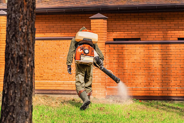 Top rated local Mosquito Control specialists in North Richland Hills, TX